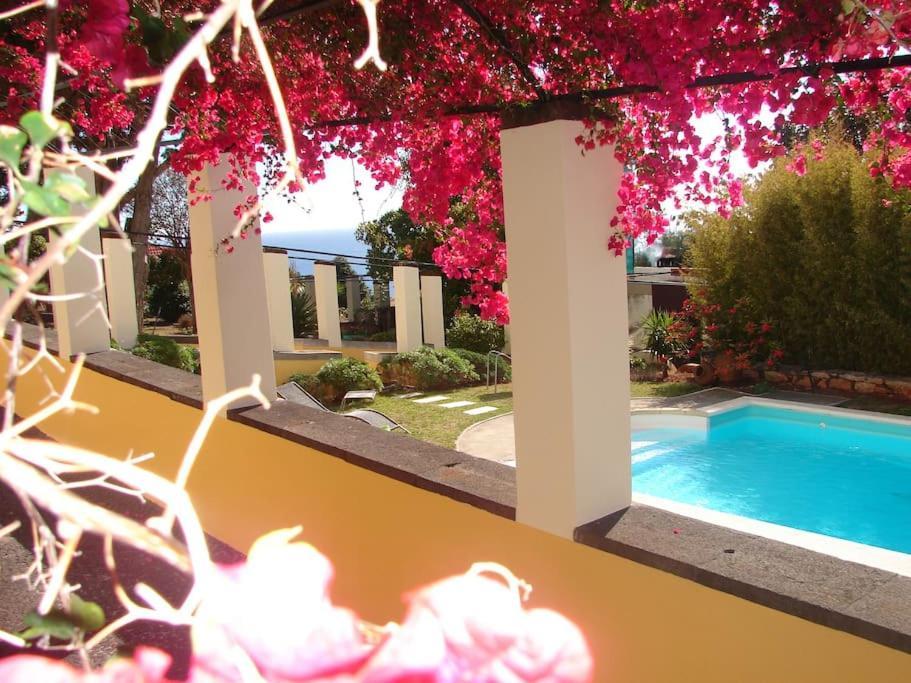 Private Pool Apt. With Great View Funchal  Exteriér fotografie
