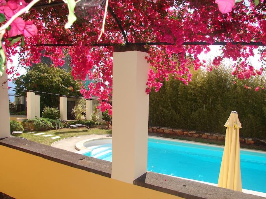Private Pool Apt. With Great View Funchal  Exteriér fotografie