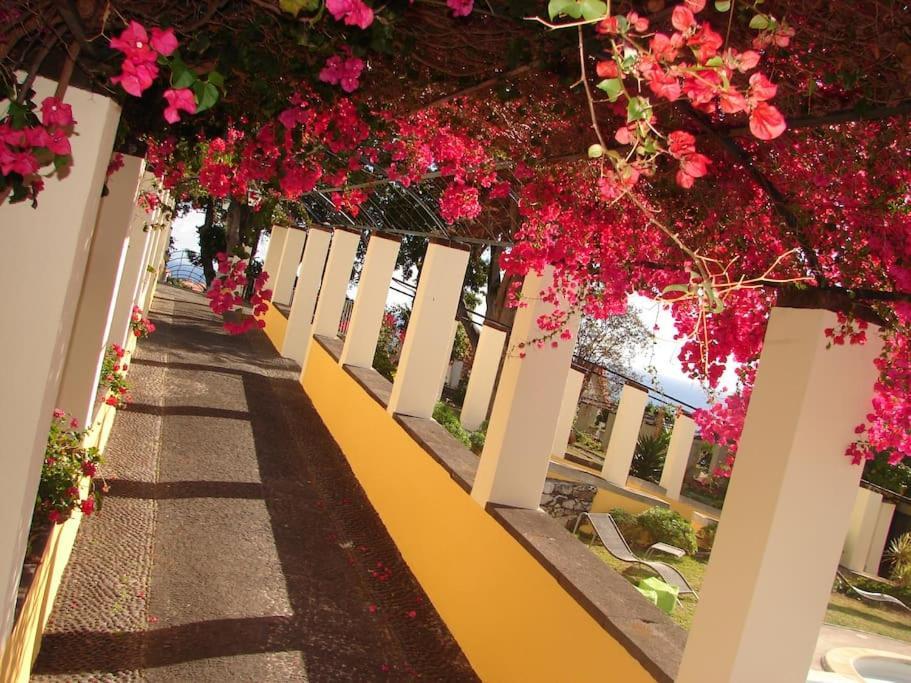 Private Pool Apt. With Great View Funchal  Exteriér fotografie
