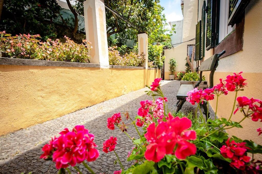 Private Pool Apt. With Great View Funchal  Exteriér fotografie