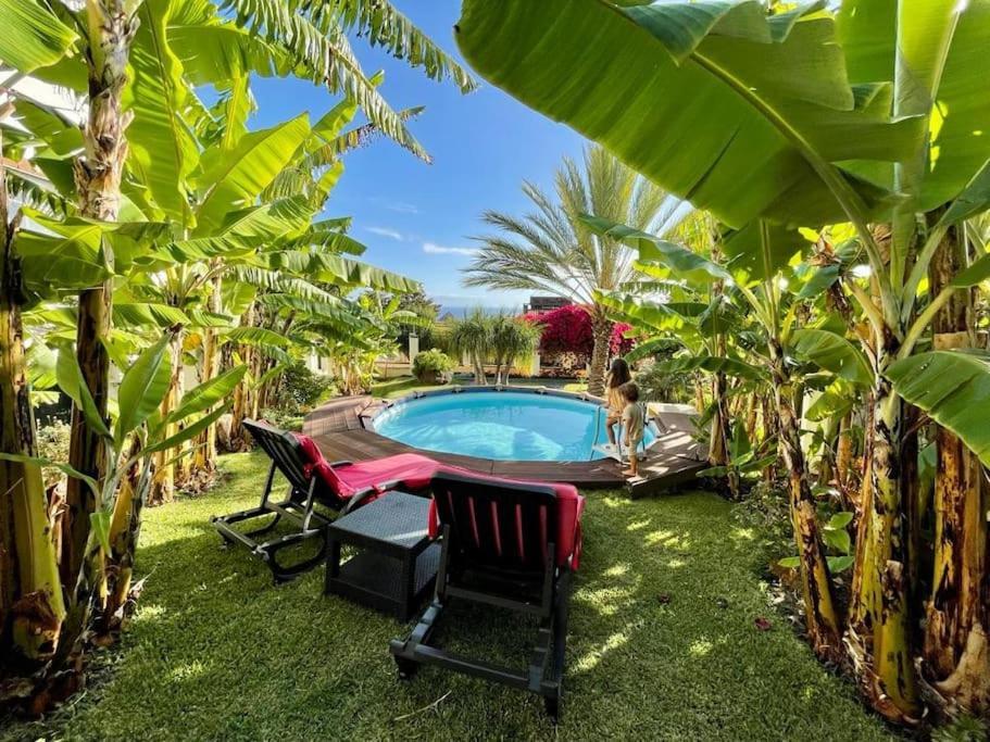 Private Pool Apt. With Great View Funchal  Exteriér fotografie